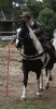 3. Bonanza Rallye_17