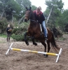 3. Bonanza Rallye