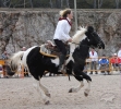San Antoni Cala Ratjada Spiele_8
