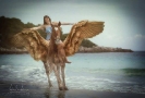 Pegasus nachher , Foto Anita Zander
