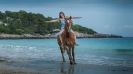 Pegasus vorher , Foto Anita Zander